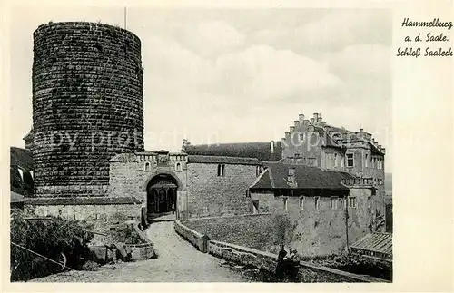 AK / Ansichtskarte Hammelburg Schloss Saaleck Kat. Hammelburg