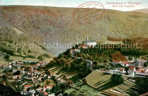 AK / Ansichtskarte Schwarzburg Thueringer Wald Panorama Blick vom Trippstein Kat. Schwarzburg