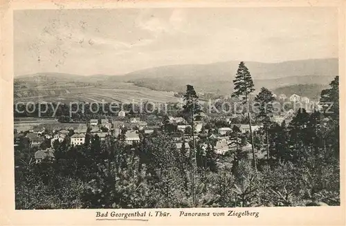 AK / Ansichtskarte Bad Georgenthal Gotha Panorama Blick vom Ziegelberg