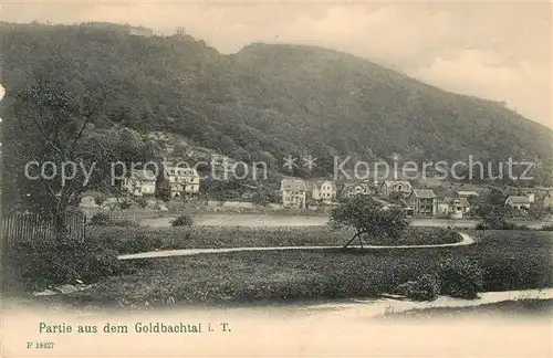 AK / Ansichtskarte Taunus Region Partie aus dem Goldbachtal
