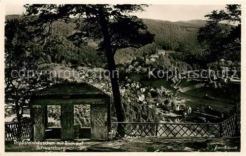 AK / Ansichtskarte Schwarzburg Thueringer Wald Talblick vom Trippsteinhaeuschen Kat. Schwarzburg