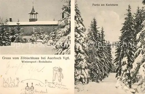 AK / Ansichtskarte Auerbach Vogtland Zoebischhaus Karlsturm Winterlandschaft Rodelbahn Kat. Auerbach