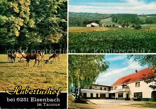 AK / Ansichtskarte Eisenbach Limburg Gasthof Hubertushof Kat. Selters (Taunus)