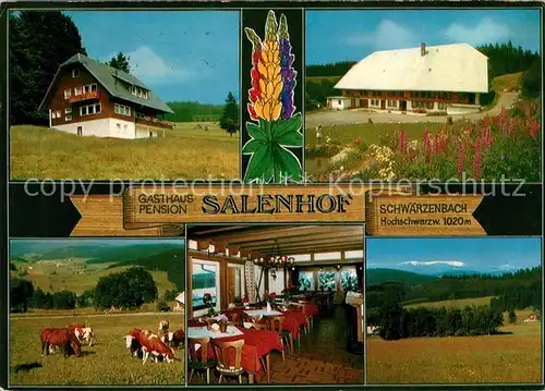 AK / Ansichtskarte Schwaerzenbach Titisee Neustadt Gasthaus Pension Salenhof Gaststube Panorama Kat. Titisee Neustadt