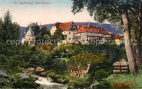 AK / Ansichtskarte Bebenhausen Tuebingen Koenigliches Jagdschloss Rehe Kat. Tuebingen