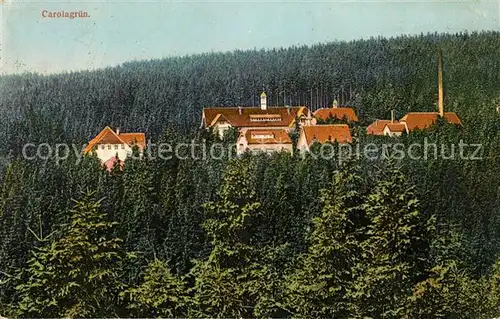 AK / Ansichtskarte Carolagruen Panorama Kat. Schoenheide Erzgebirge
