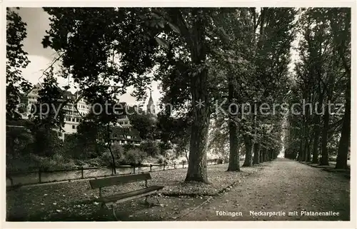 AK / Ansichtskarte Tuebingen Neckarpartie mit Platanenallee Kat. Tuebingen