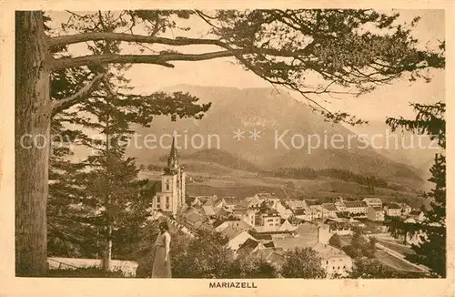 AK / Ansichtskarte Mariazell Steiermark Panorama Kat. Mariazell