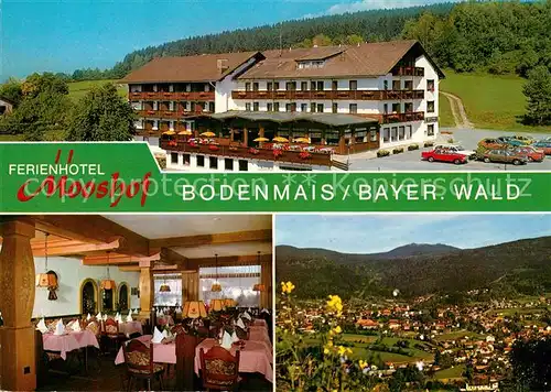 AK / Ansichtskarte Bodenmais Ferienhotel Mooshof Kat. Bodenmais