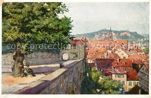 AK / Ansichtskarte Tuebingen Panorama von der Schlosslinde Kat. Tuebingen