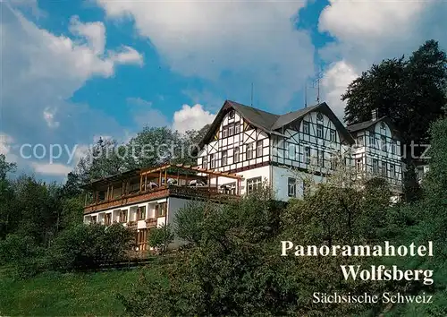 AK / Ansichtskarte Reinhardtsdorf Bad Schandau Panoramahotel Wolfsberg Kat. Reinhardtsdorf Schoena