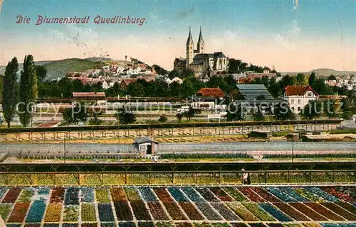 AK / Ansichtskarte Quedlinburg Panorama Blumenstadt Kat. Quedlinburg