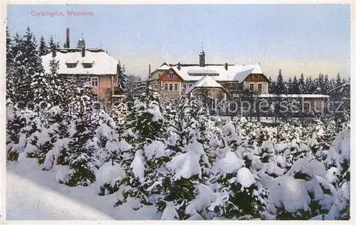 AK / Ansichtskarte Carolagruen Heilstaette im Winter Kat. Schoenheide Erzgebirge