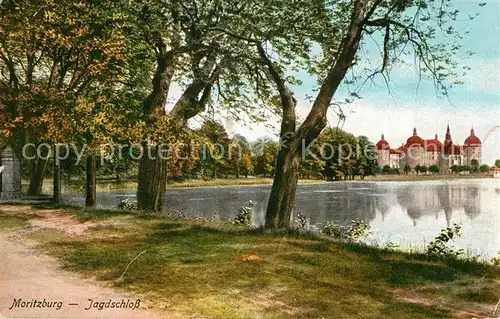 AK / Ansichtskarte Moritzburg Sachsen Uferpartie am Wasser Wasserschloss Kat. Moritzburg Dresden