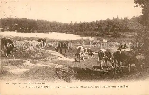 AK / Ansichtskarte La Foret de Paimpont Un coin de l etang de Comper des vaches