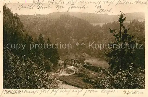 AK / Ansichtskarte Steinicht Panorama Kat. Greiz