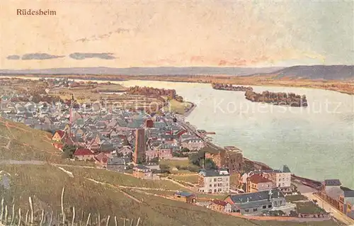 AK / Ansichtskarte Ruedesheim Rhein Panorama  Kat. Ruedesheim am Rhein