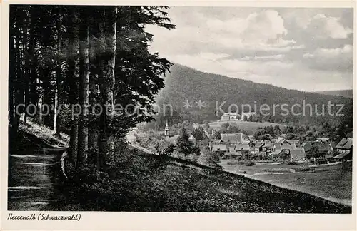 AK / Ansichtskarte Herrenalb Loeffenau Schwarzwald Panorama Kat. March