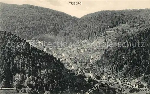 AK / Ansichtskarte Triberg Schwarzwald Panorama Kat. Triberg im Schwarzwald