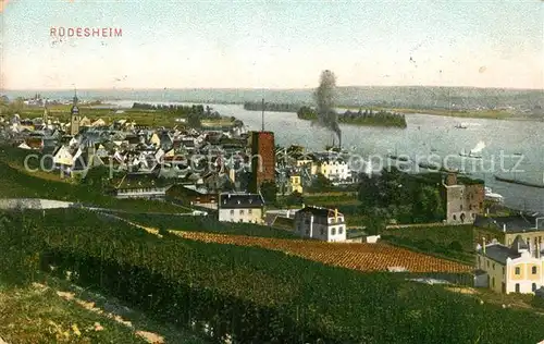 AK / Ansichtskarte Ruedesheim Rhein Panorama Kat. Ruedesheim am Rhein