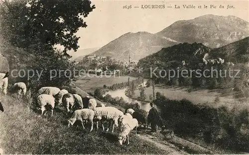 AK / Ansichtskarte Lourdes Hautes Pyrenees La Vallee et le Pic du Jer Schafe Kat. Lourdes