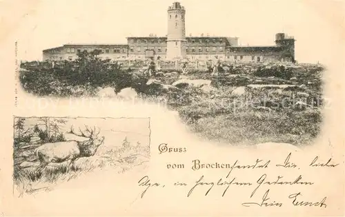 AK / Ansichtskarte Brocken Harz Gipfelhaus Hirsch