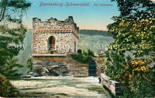 AK / Ansichtskarte Blankenburg Harz Schwarztal Eberstein Kat. Blankenburg