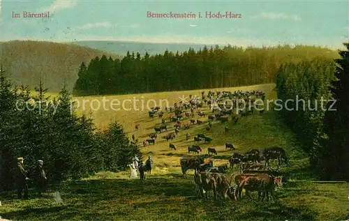 AK / Ansichtskarte Benneckenstein Harz Herde im Baerental