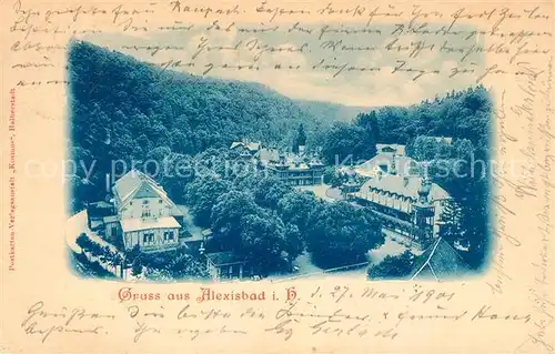 AK / Ansichtskarte Alexisbad Harz Panorama Kat. Harzgerode