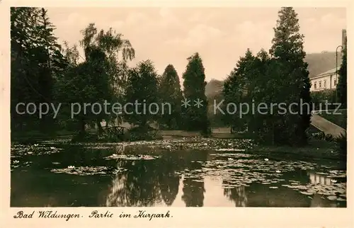 AK / Ansichtskarte Bad Wildungen Kurparkpartie Kat. Bad Wildungen