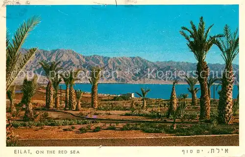 AK / Ansichtskarte Eilat on the Red Sea Kat. Eilat