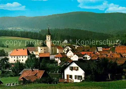 AK / Ansichtskarte Bischofsmais Ortsansicht Kat. Bischofsmais