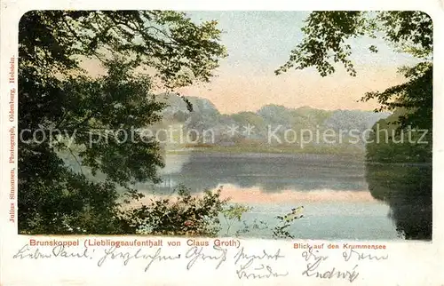 AK / Ansichtskarte Malente Gremsmuehlen Brunskoppel Blick auf den Krummensee Kat. Malente