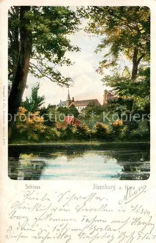 AK / Ansichtskarte Ilsenburg Harz Blick zum Schloss Kat. Ilsenburg Harz