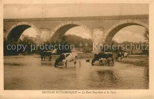 AK / Ansichtskarte Moissac Pont Napoleon et le Tarn des vaches Kat. Moissac