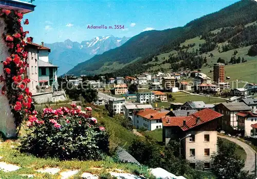 AK / Ansichtskarte Aprica Panorama mit Adamello