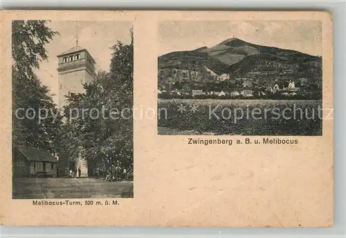 AK / Ansichtskarte Zwingenberg Neckar Melibocus Turm Panorama