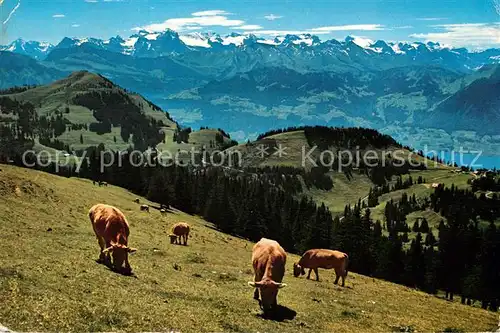AK / Ansichtskarte Rigi Kulm Blick auf Urner und Unterwaldner Alpen Kat. Rigi Kulm