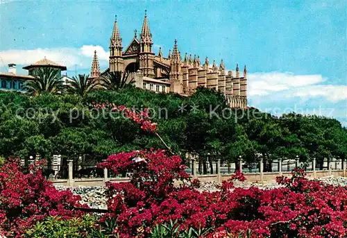 AK / Ansichtskarte Palma de Mallorca Catedral desde el desembarcadero Kat. Palma de Mallorca