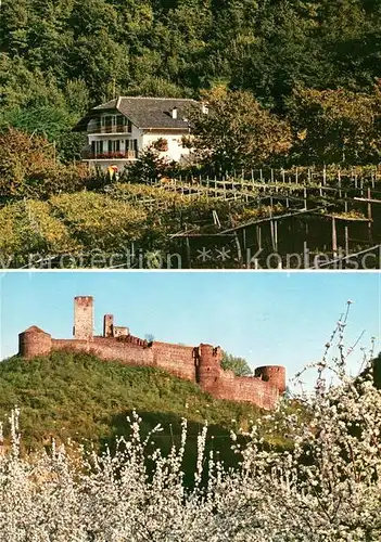 AK / Ansichtskarte Frangart Frangarto Garni Hotel Etschblick Baumbluete Burgruine