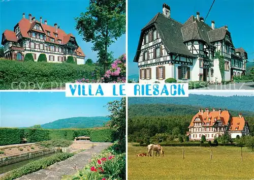 AK / Ansichtskarte Niederbronn les Bains Villa Le Riesack Kat. Niederbronn les Bains