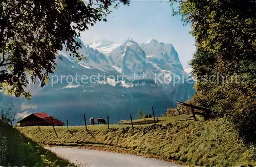 AK / Ansichtskarte Hasliberg Wetterhorn Gruppe Kat. Meiringen