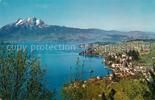 AK / Ansichtskarte Weggis Vierwaldstaettersee mit Pilatus