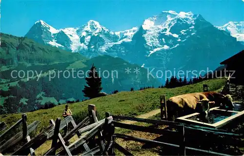 AK / Ansichtskarte Berner Oberland mit Eiger Moench und Jungfrau Kat. Grindelwald