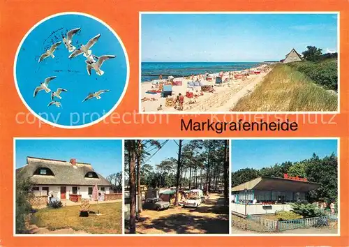 AK / Ansichtskarte Markgrafenheide Rostock Strand Rohrdachhaus Campingplatz Gaststaette Moewen