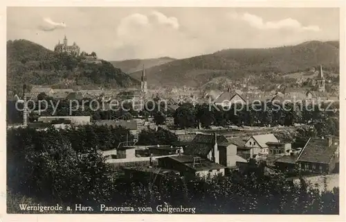 AK / Ansichtskarte Wernigerode Harz Panorama vom Galgenberg Kat. Wernigerode