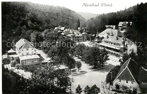 AK / Ansichtskarte Alexisbad Harz Panorama Kat. Harzgerode