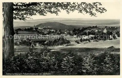 AK / Ansichtskarte Friedrichsbrunn Harz Panorama Kat. Friedrichsbrunn