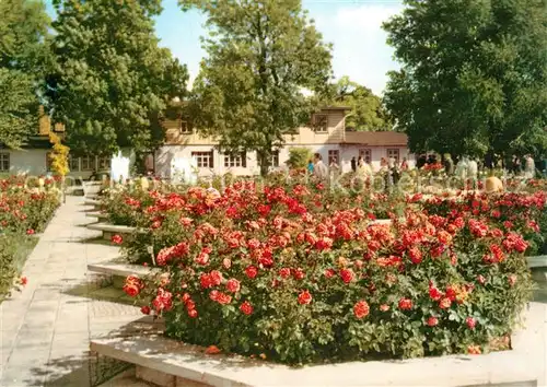 AK / Ansichtskarte Gartenbauaustellung Erfurt Rosengarten Kat. Expositions