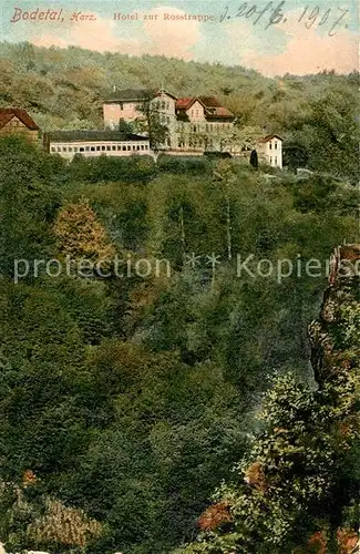 AK / Ansichtskarte Bodetal Harz Hotel zur Rosstrappe Kat. Treseburg